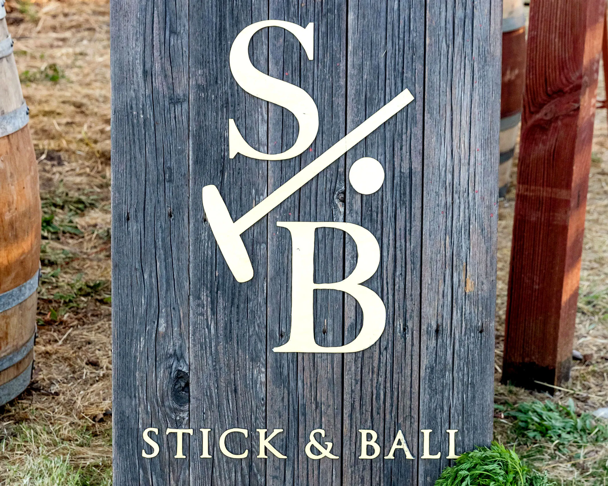 Stick and Ball Online